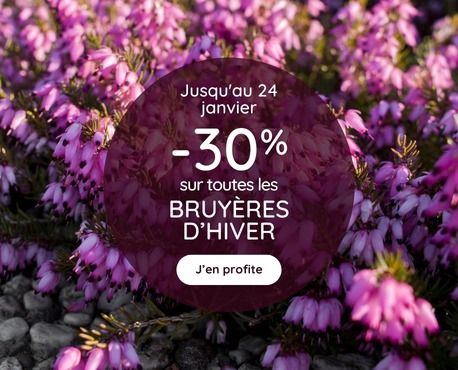 -30% erica jusqu'au 24 janvier 2025