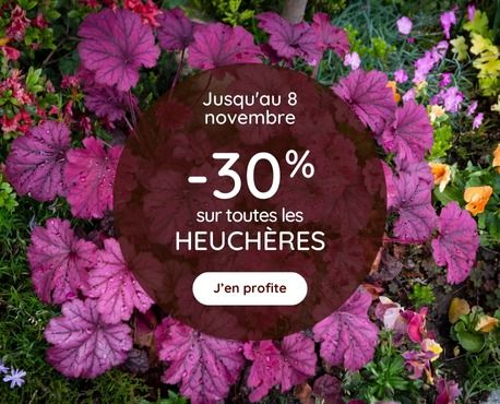 -30% heuchere jusqu'au 8 novembre