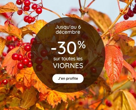 -30% viornes jusqu'au 6 décembre